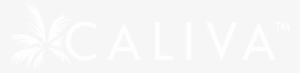 Caliva Wordmark Horizontal White 1200px - Ps4 Logo White Transparent