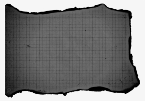 Report Abuse - Paper