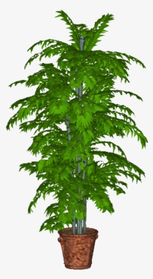 Potted Plant -0 - Houseplant