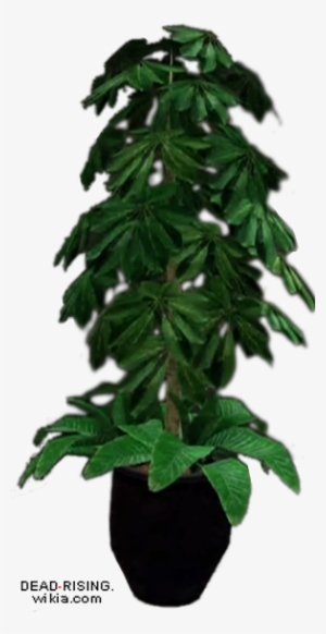 Dead Rising Potted Plant 3 - Potted Plant