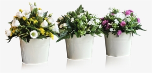 Potted Plants And Flowers Png - Flowers In Pot Png