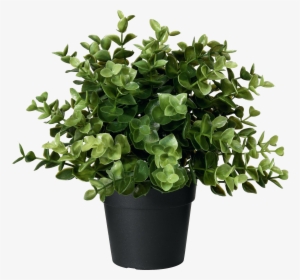 Artificial Potted Plant Oregano Png Image - Ikea Artificial Plant
