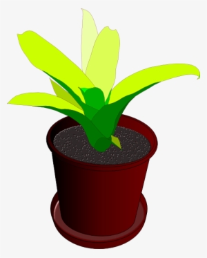 How To Set Use Potted Plant Clipart