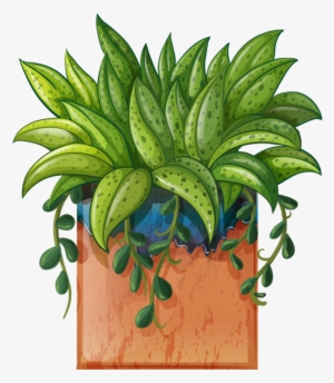 Pot Plant Clipart Beautiful Flower Pencil And In Color - Transparent Potted Plants Clipart Hd
