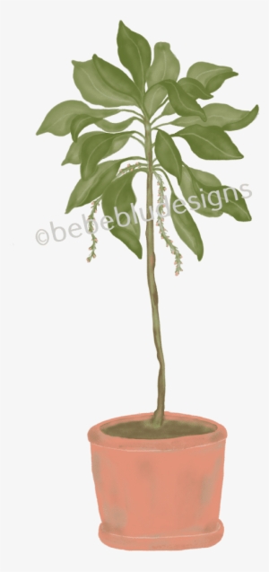 Potted Plant - Tree