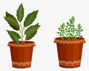 Plant Clipart Potted Plant - Clip Art
