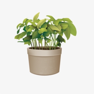 Pictures Of Potted Plants Best Of Flowerpot Plant Vector - Transparent Background Potted Plant Png