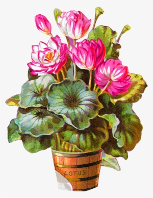 Royalty-free Lotus Flower Potted Plant Barrel Clip - Clip Art