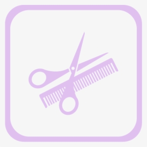Salon - Transparent Shears And Comb