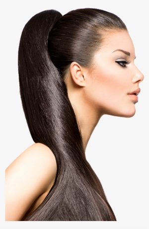 Our Prices - Pony Tail Hair