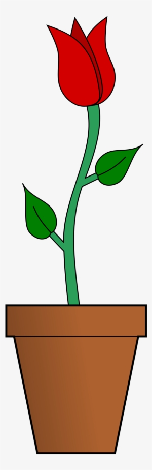 Symbol Flower Rose Panda Free Images Christian - Flower Vase Cartoon Png