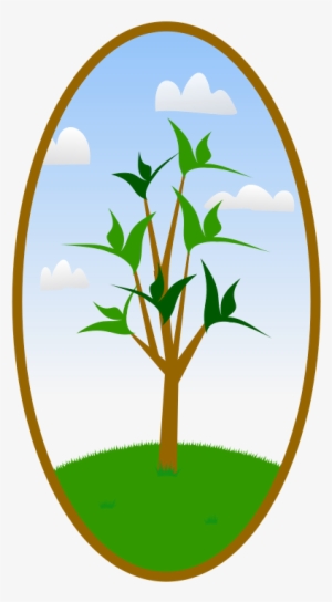 This Graphics Is An Oval Landscape Tree About Buttons, - Tree Hugger Nature Lover Tee Tile Coaster