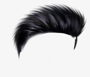 Hair Png - Feather