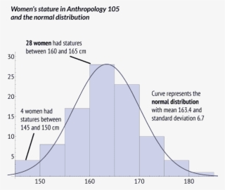 Female Student Stature Histogram - Diagram