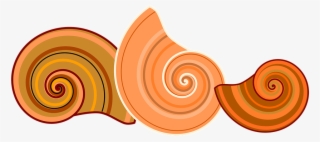 Rotated Free Image On Pixabay Nature Animal - Spiral