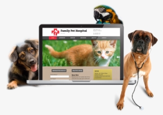 Compassion & Knowledge For Your Pets, Paw-fected - Friends Playing Dog Cat Funny 32x24 Print Poster