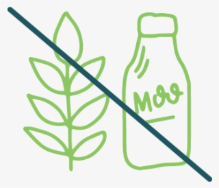 Every Box Is Always Gluten Dairy Free, Guaranteed - Celiac Disease