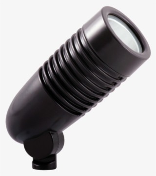 Liberty Torch Png