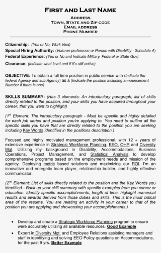 Free Federal Job Resume Templates At Com With List - Paragraph Example About Goals