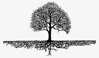 Roots & Branches - Family Tree Roots Png