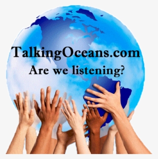 1 Reply 0 Retweets 0 Likes - Guide To Nonprofit Development