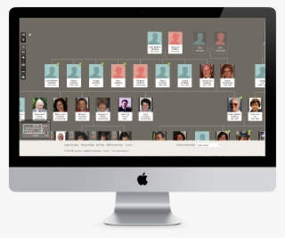 Old Family Tree Site - Social Feed On Website