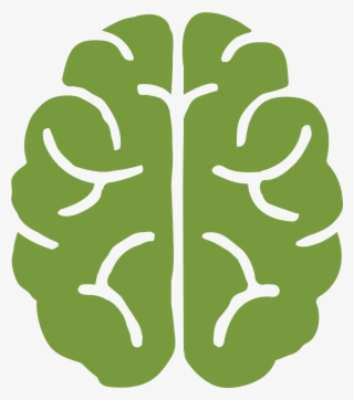 2 - Brain