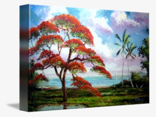 Png Download Amazon Drawing Gulmohar Tree