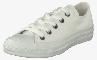 Chuck Taylor All Star Ox White Monochrome - Shoe