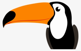 Tucano Voando Png - Tucano Voando Em Png
