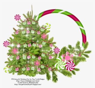 It's Getting To That Time Of Year Again And Here Are - Christmas Day