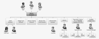 Registered Investment Advisor Account Structure Chart - Mutual Fund