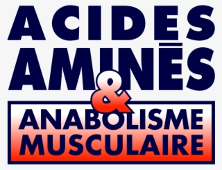Acides Amines Anbolisme Bleu - Asthma Society Of Ireland