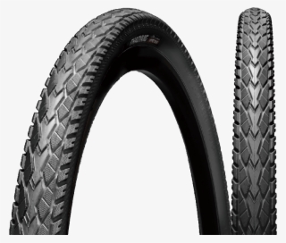 View Larger Image - Chaoyang Mako Shark