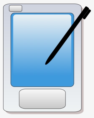 Palm Png