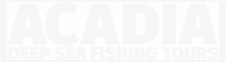 Acadia Deep Sea Fishing Tours - Bar Harbor Maine Summer Fishing