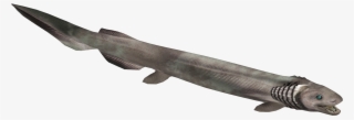 Frilled Shark - Missile