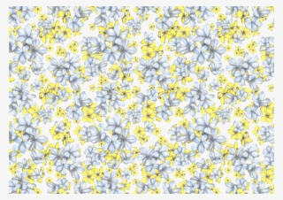 Mix Fiorellini Gialli &amp - Alyssum