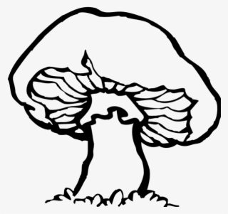 Mushroom Clipart Outline - Clip Art Black And White Mushroom