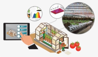 Smart Greenhouse Lighting - Smart Greenhouse Taiwan