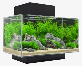Acuario Fluval Edge Leds 23 Lt Negro