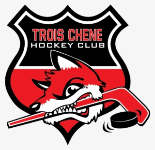 Goal Efficiency - - - Trois Chene Hockey Club