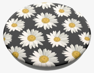 Daisies, Popsockets Daisies