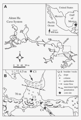Map Of Aktun Ha Cave And Its Location Along The Caribbean - Cave