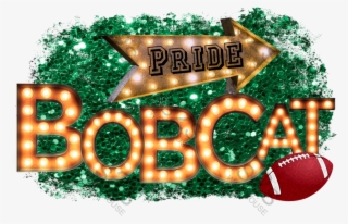 Bobcats Pride Green - Roter Imitat-glitzer Fleecedecke