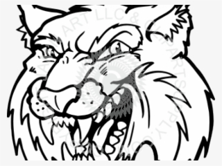 Cougar Clipart Bobcat - Bobcat Clip Art