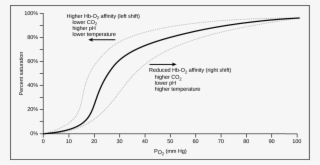Art Connection - Gas Exchange