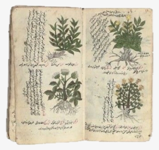 #moodboard #moodboards #cute #chooseagirlfriend #nichememes - Herbalism