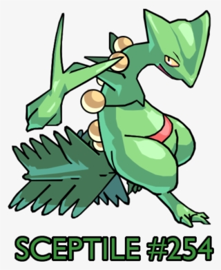Model Image Graphic Image - Sceptile Cool