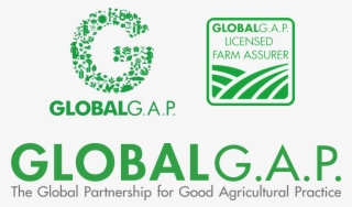 Certificazioni Global Gap Logo - Aquaculture Stewardship Council Logo